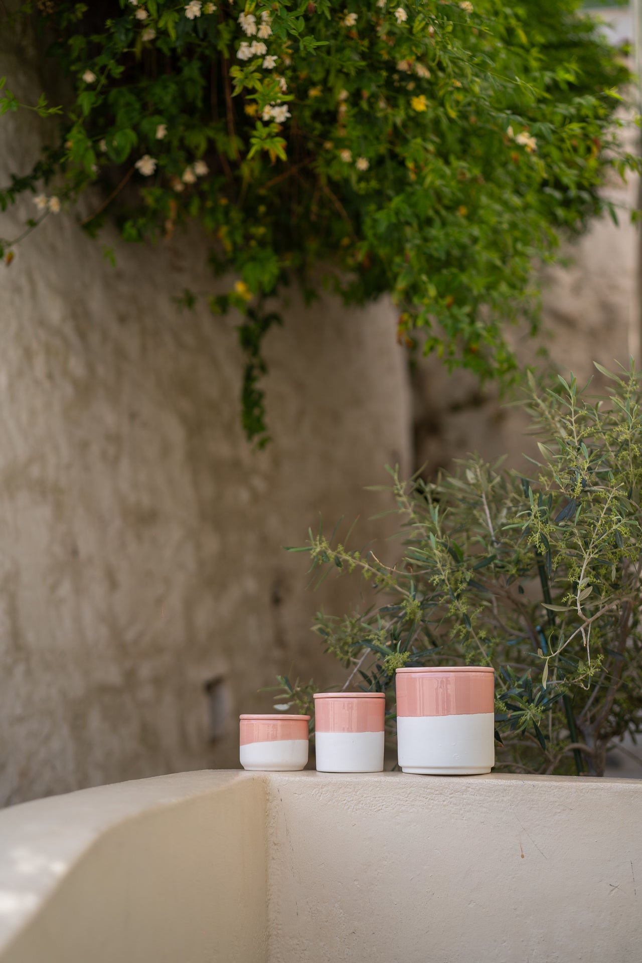 Pink Sugar Kerze / VORBESTELLUNG