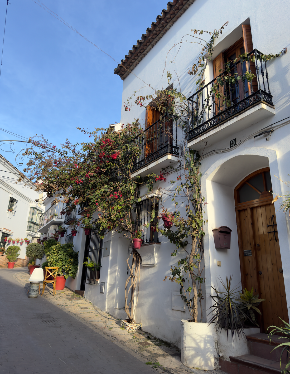 What does Timeless Mediterranean Beauty mean for Francia Casa?